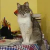 Отзыв от Анна Чистякова